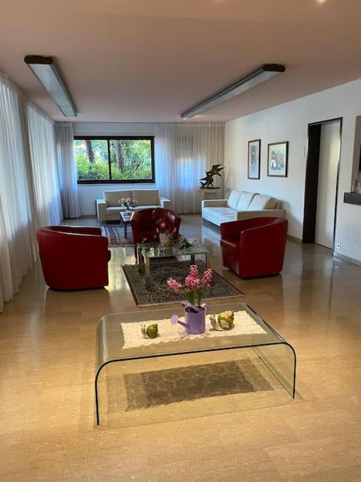 Ascona: Residenza Sabrina,App 2.5 Locali E Piscina Daire Dış mekan fotoğraf